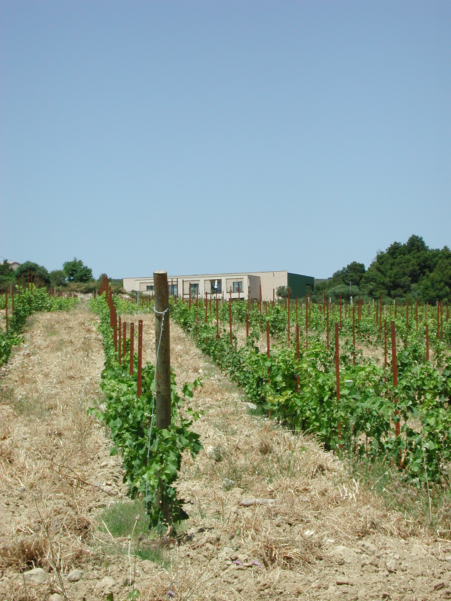 Domaine des 2 Ânes les vins d'auteurs